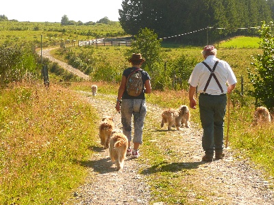 des Drailles de l'Aigoual - Dans le Cantal avec les BP du 63 et 48 !