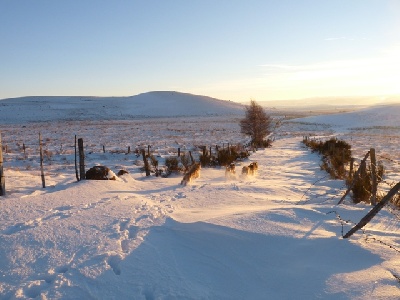 des Drailles de l'Aigoual - L'hiver s'installe sur le plateau avec déjà - 18° en extrême ! le 12 